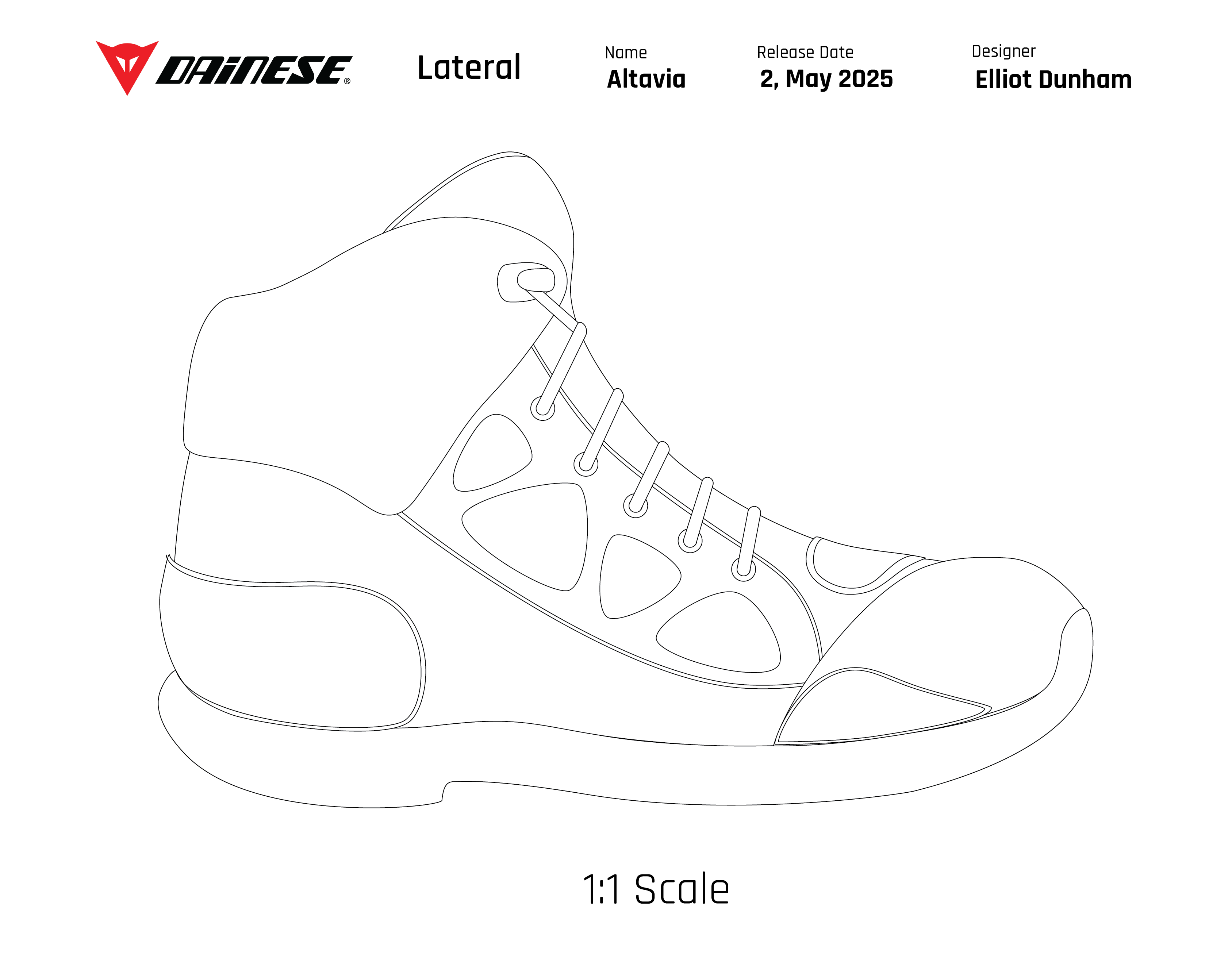 Lateral View Detailed 2